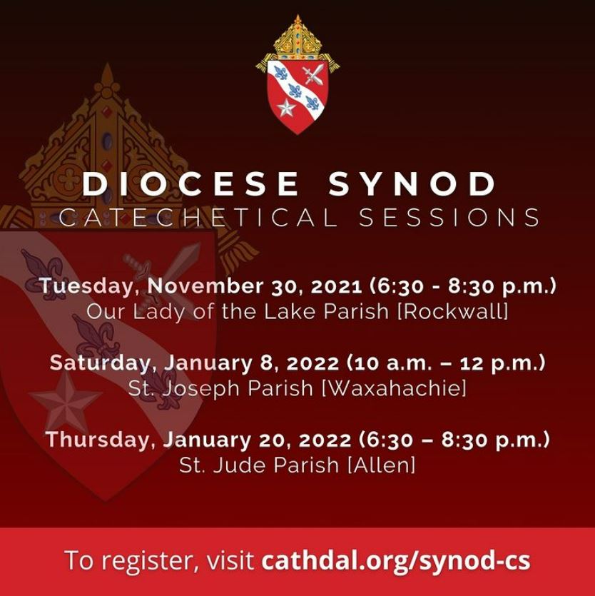 Synodal Cathechetical Session